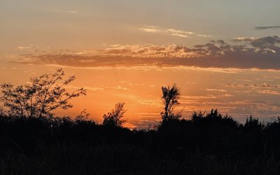 Day Two: Bushong to Allen