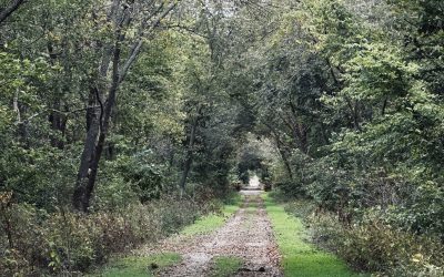 Day Three: Basecamp Flint Hills to Miller