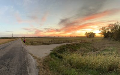 Day Seven: Pomona to Ottawa